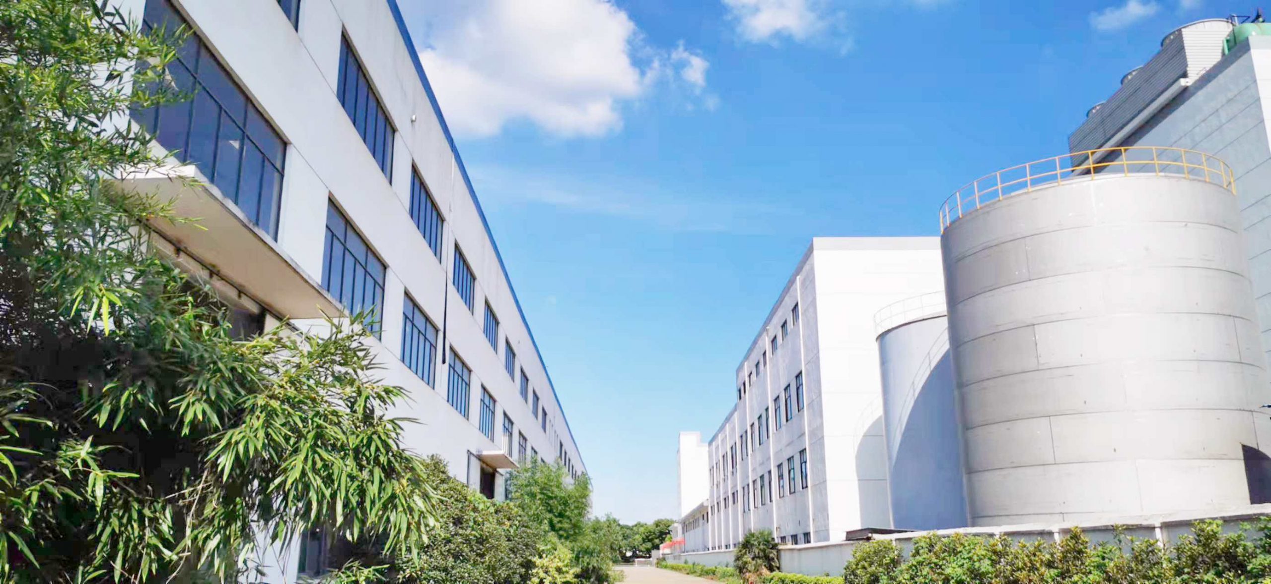Xinda plant